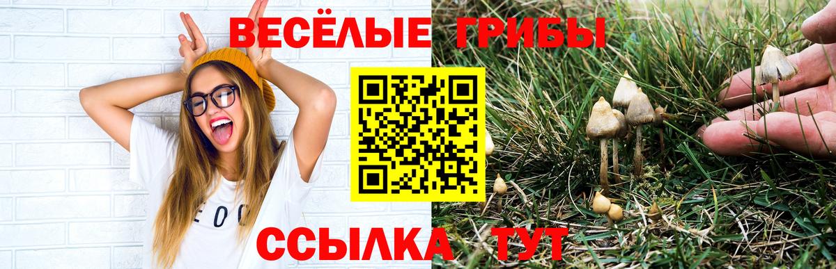 Нижний Тагил  Псилоцибиновые грибы ЛСД  наркошоп  Вход с VPN  Псилоцибиновые грибы Cubensis 